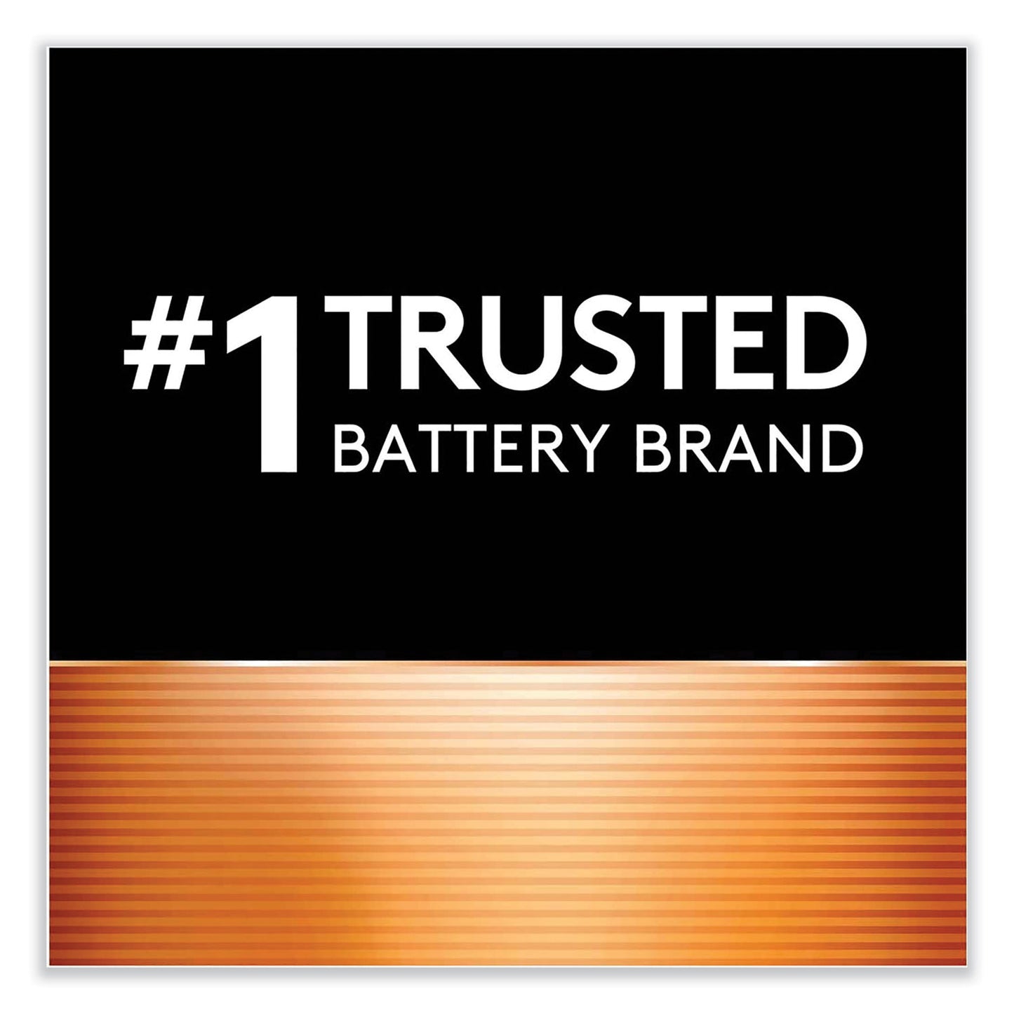 Duracell Rechargeable StayCharged NiMH Batteries, AAA, 2/Pack (NLAAA2BCD)