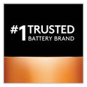 Duracell CopperTop Alkaline 9V Batteries, 2/Pack (MN1604B2Z)