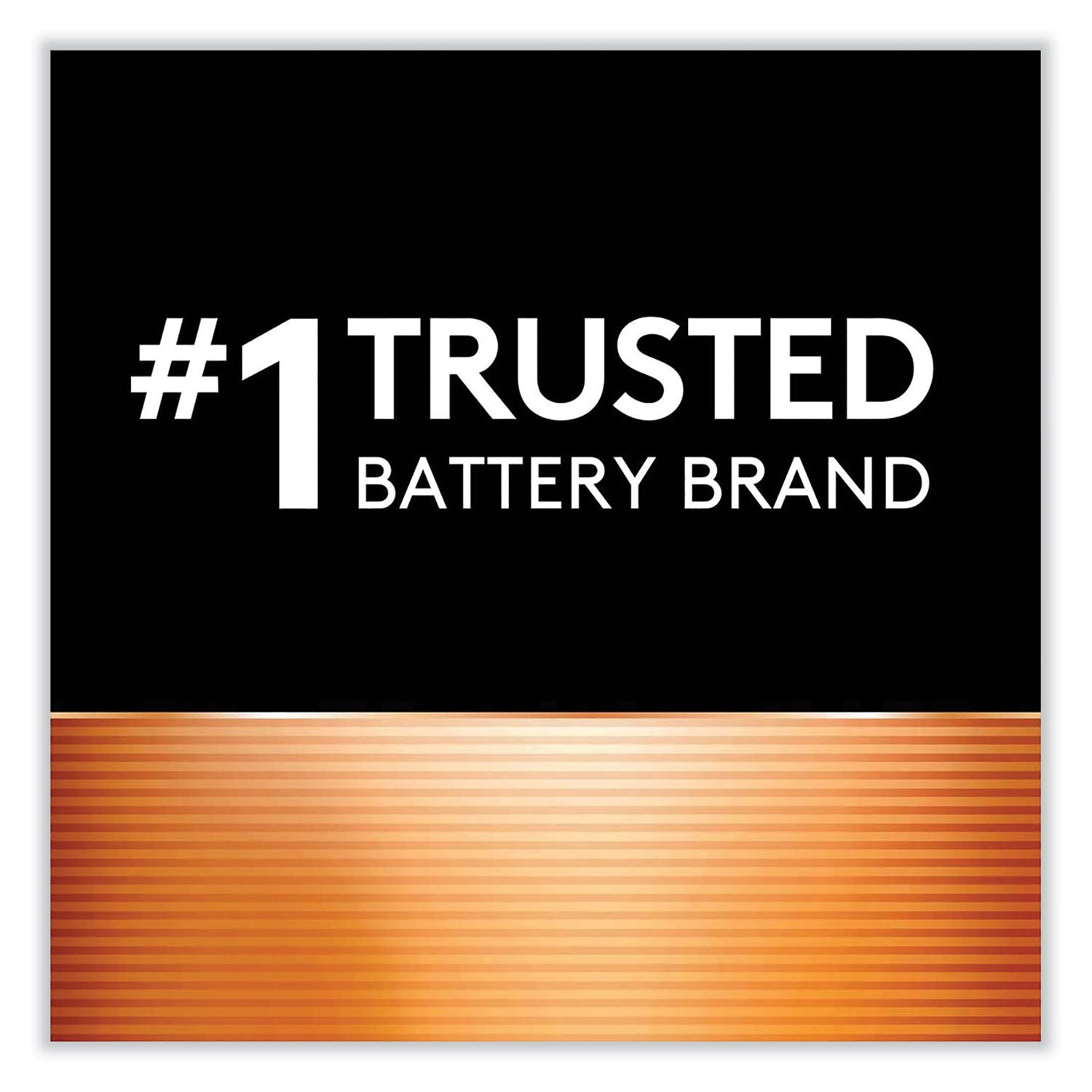 Duracell CopperTop Alkaline 9V Batteries, 2/Pack (MN1604B2Z)