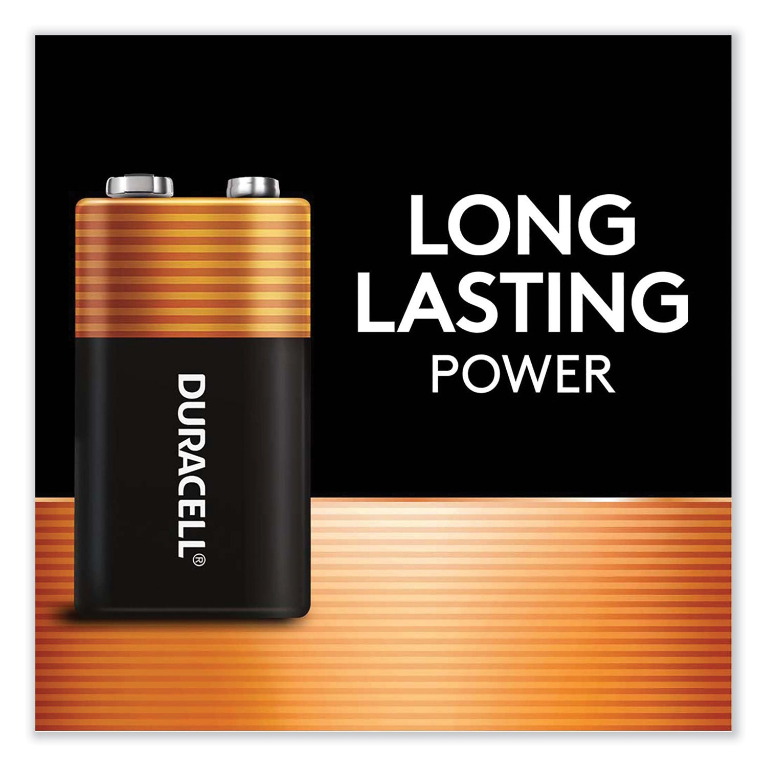 Duracell CopperTop Alkaline 9V Batteries, 2/Pack (MN1604B2Z)