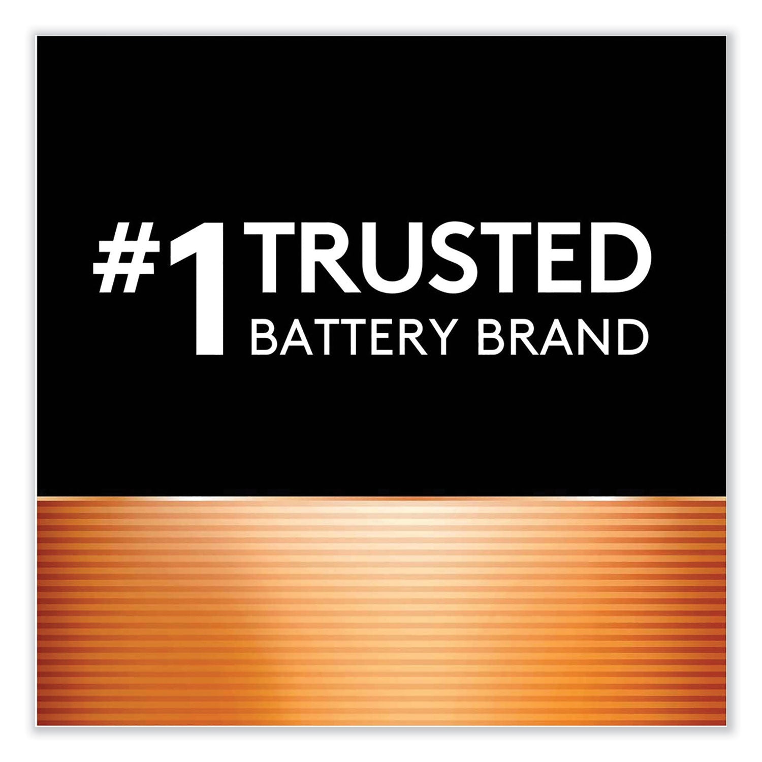 Duracell Rechargeable StayCharged NiMH Batteries, AA, 2/Pack (NLAA2BCD)