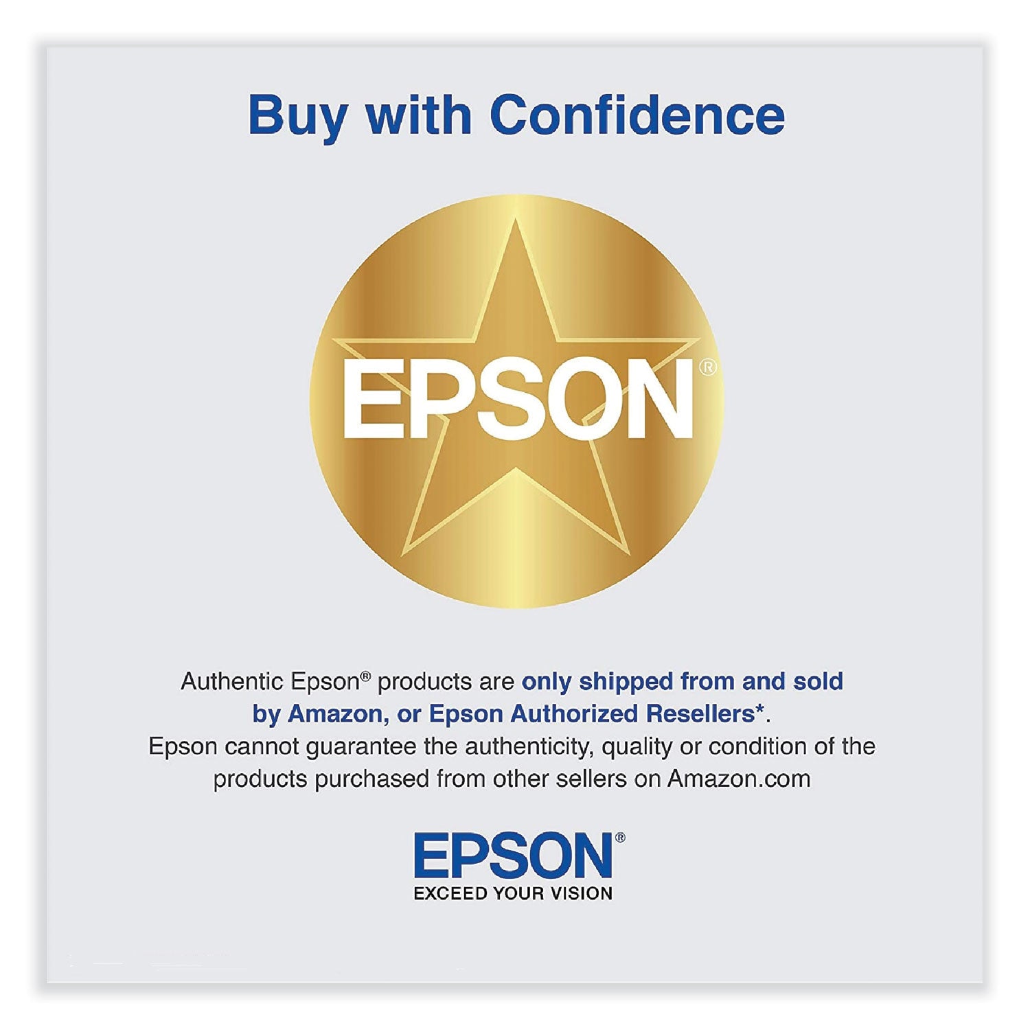 Epson C13S210116 Borderless Ink Maintenance Box