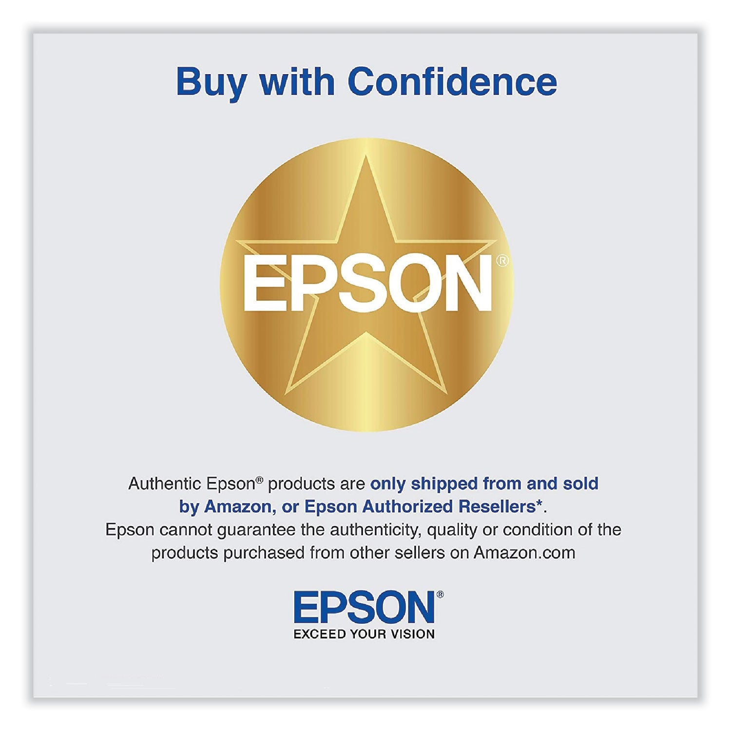 Epson T653900 UltraChrome HDR Ink, Light Light Black