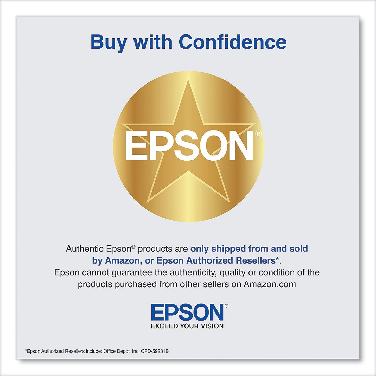 Epson T850700 Ink, Light Black