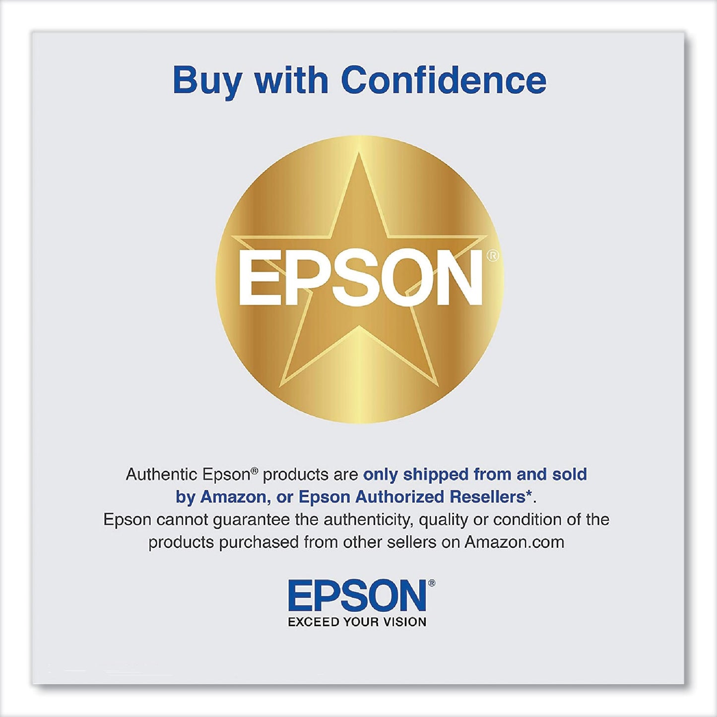 Epson T653A00 UltraChrome HDR Ink, Orange