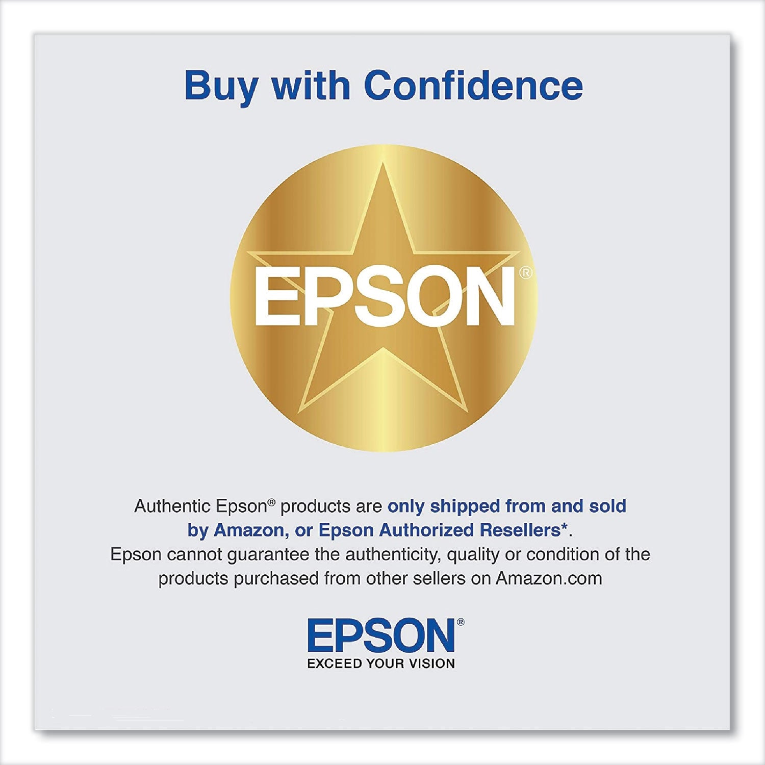 Epson T653A00 UltraChrome HDR Ink, Orange