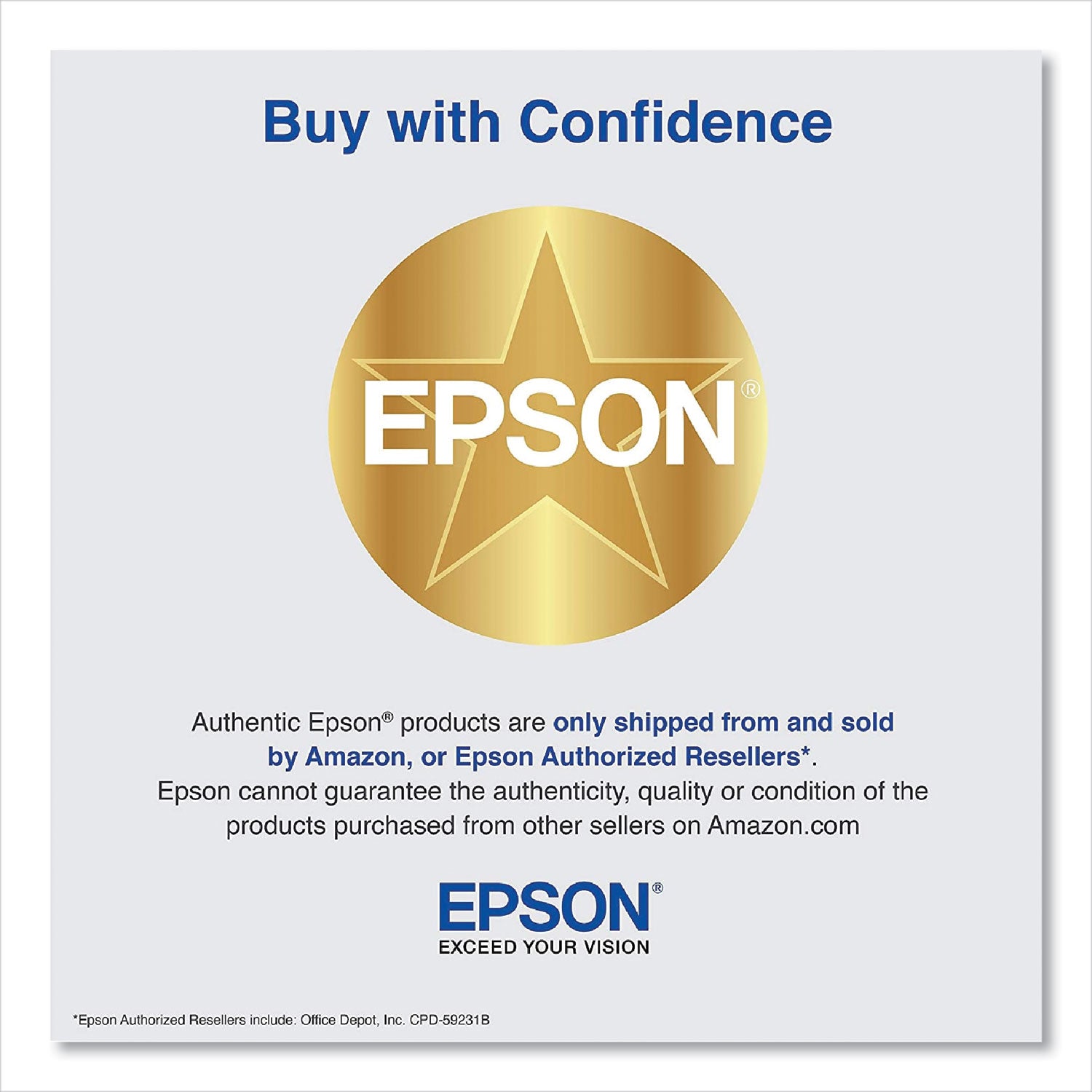 Epson T850900 Ink, Light Light Black