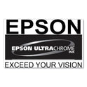 Epson T770120 (T770) UltraChrome PRO10 Ink, 25 mL, Photo Black