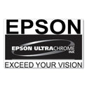 Epson T770820 (T770) UltraChrome PRO10 Ink, 25 mL, Matte Black