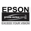 Epson T770320 (T770) UltraChrome PRO10 Ink, 25 mL, Magenta