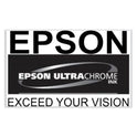 Epson T770920 (T770) UltraChrome PRO10 Ink, 25 mL, Light Gray