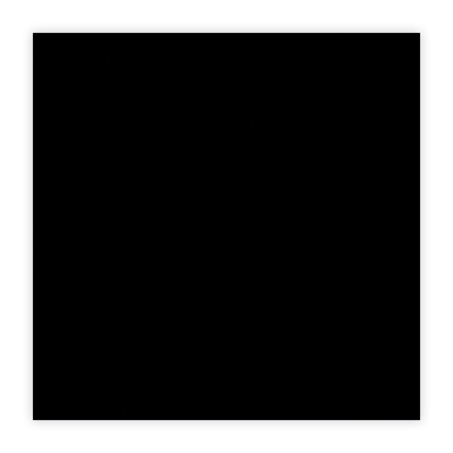 Paper Mate Mirado Black Warrior Pencil, HB (#2), Black Lead, Black Matte Barrel, Dozen (2254)