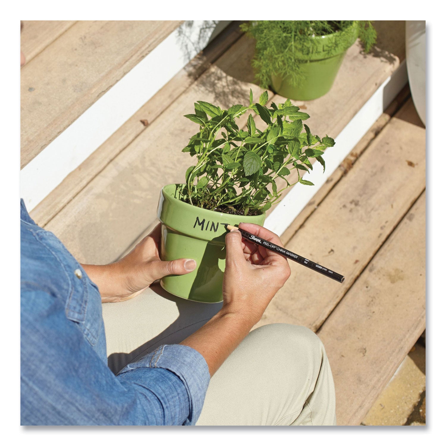 Sharpie Peel-Off China Markers, Black, Dozen (2089)