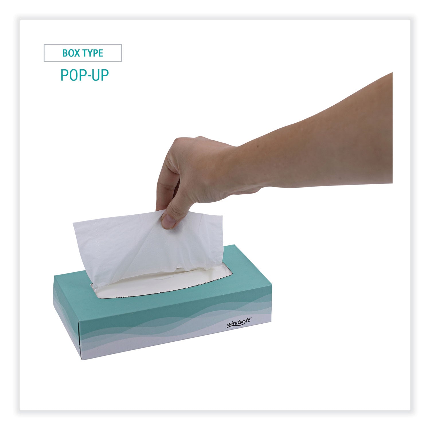 Windsoft Facial Tissue, 2 Ply, White, Flat Pop-Up Box, 100 Sheets/Box, 30 Boxes/Carton (2360)