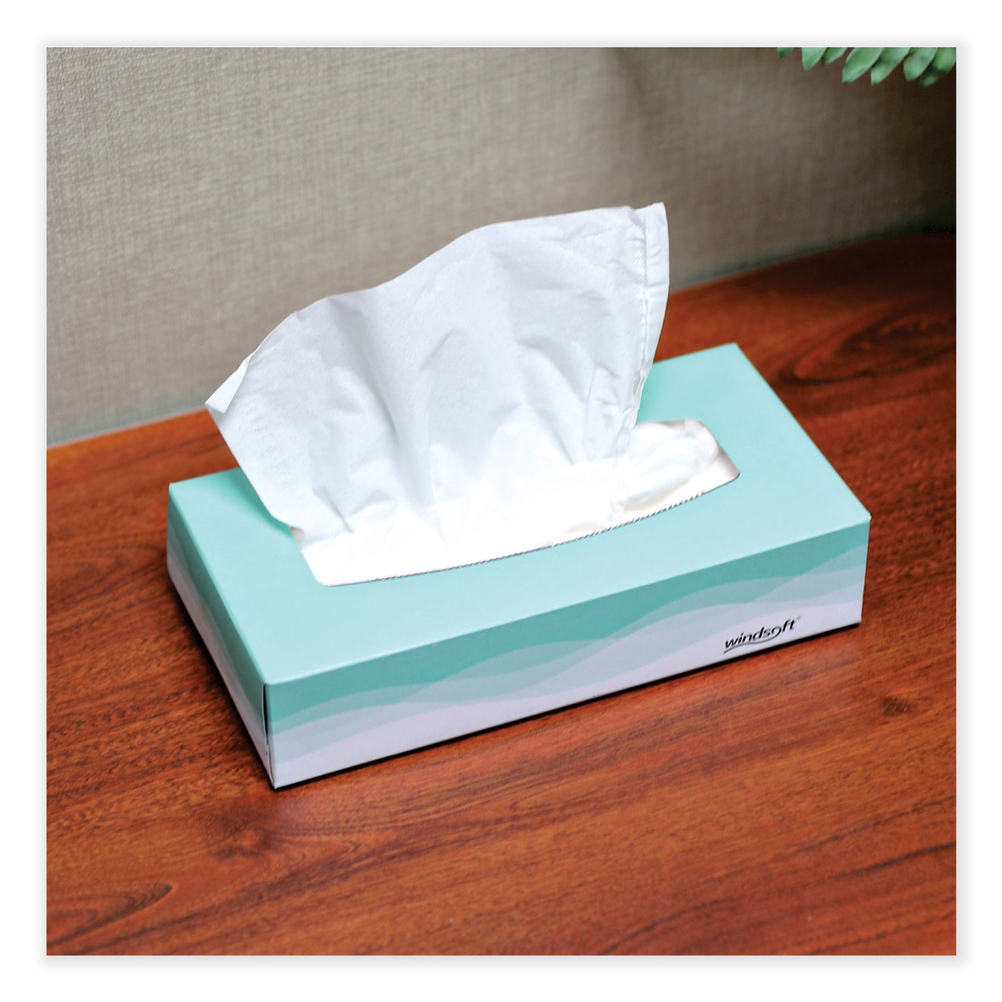 Windsoft Facial Tissue, 2 Ply, White, Flat Pop-Up Box, 100 Sheets/Box, 30 Boxes/Carton (2360)
