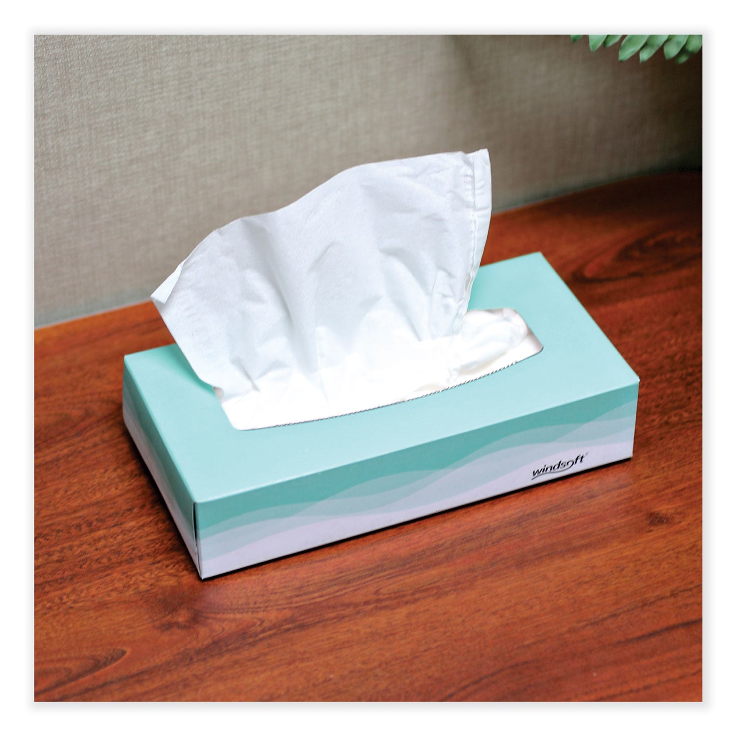 Windsoft Facial Tissue, 2 Ply, White, Flat Pop-Up Box, 100 Sheets/Box, 30 Boxes/Carton (2360)