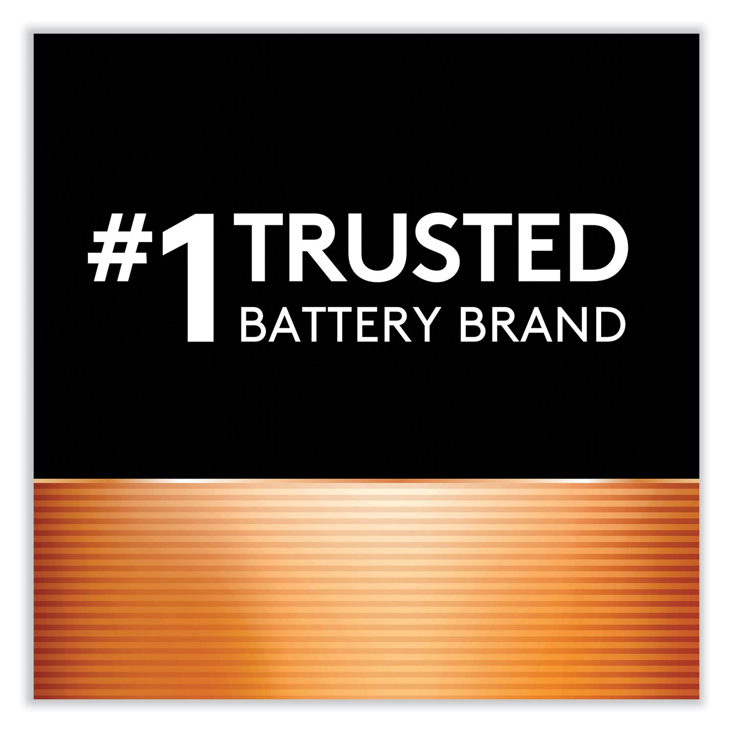 Duracell Power Boost CopperTop Alkaline AAA Batteries, 10/Pack (MN2400B10Z)