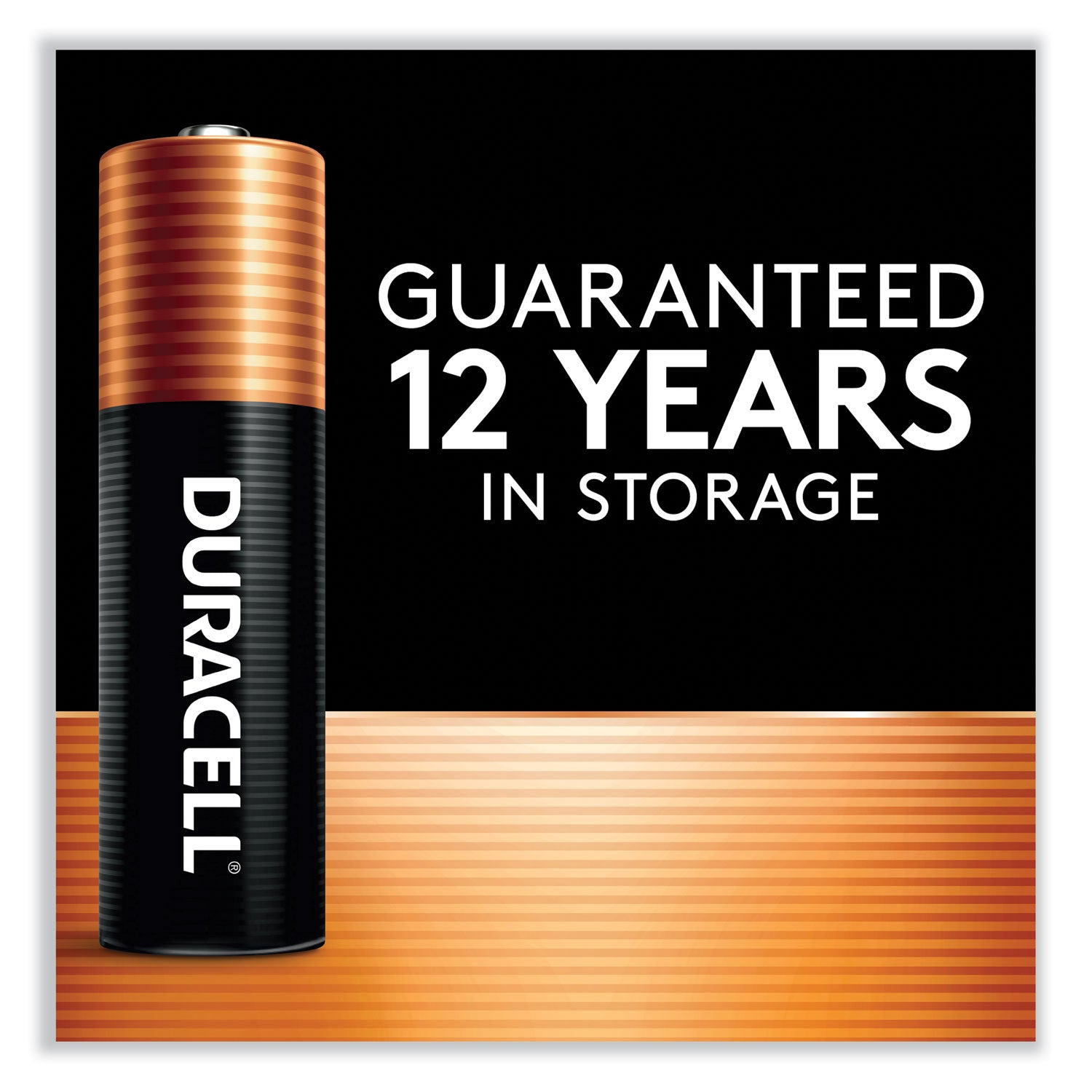 Duracell Power Boost CopperTop Alkaline AA Batteries, 10/Pack (MN1500B10Z)