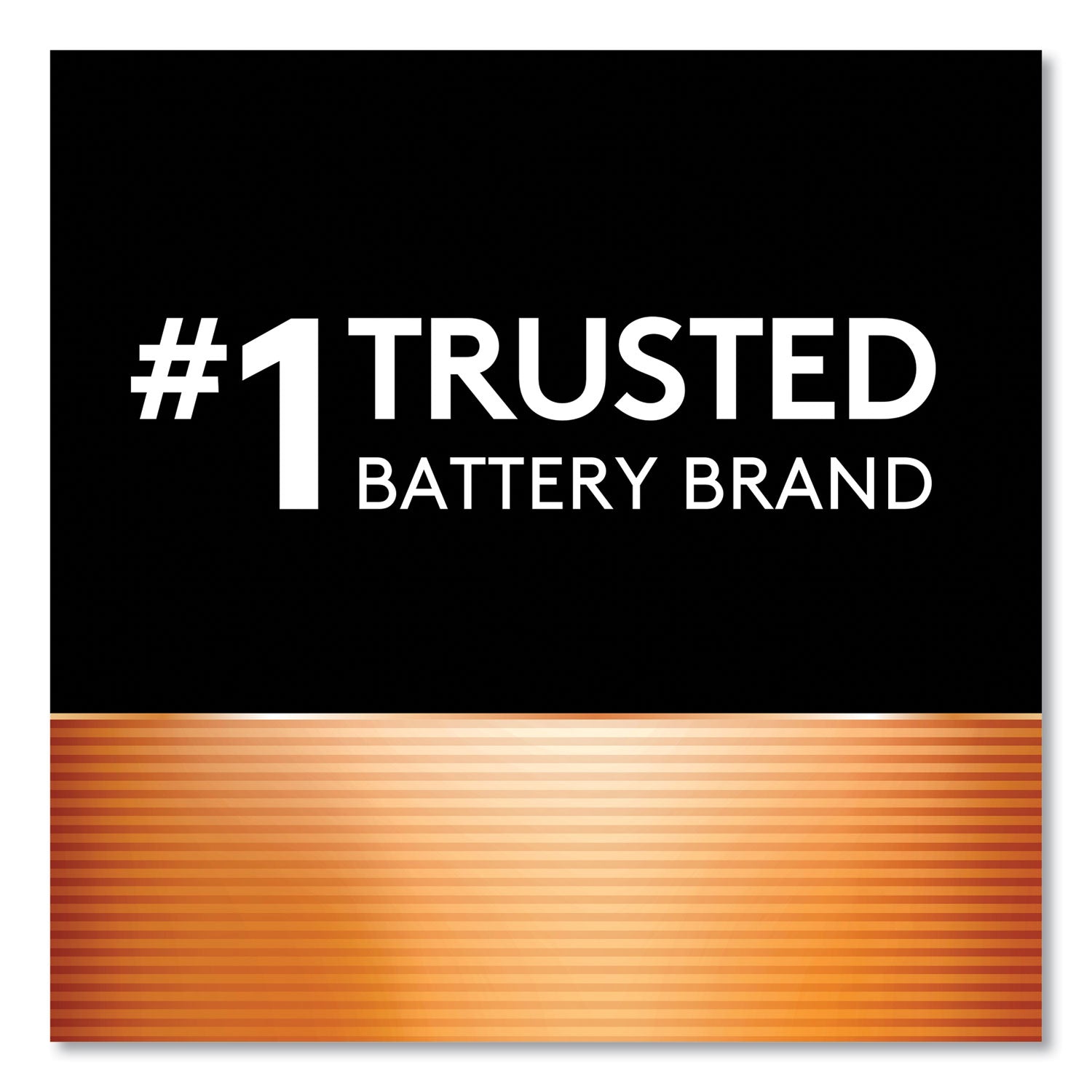 Duracell Power Boost CopperTop Alkaline AAA Batteries, 20/Pack (MN2400B20Z)