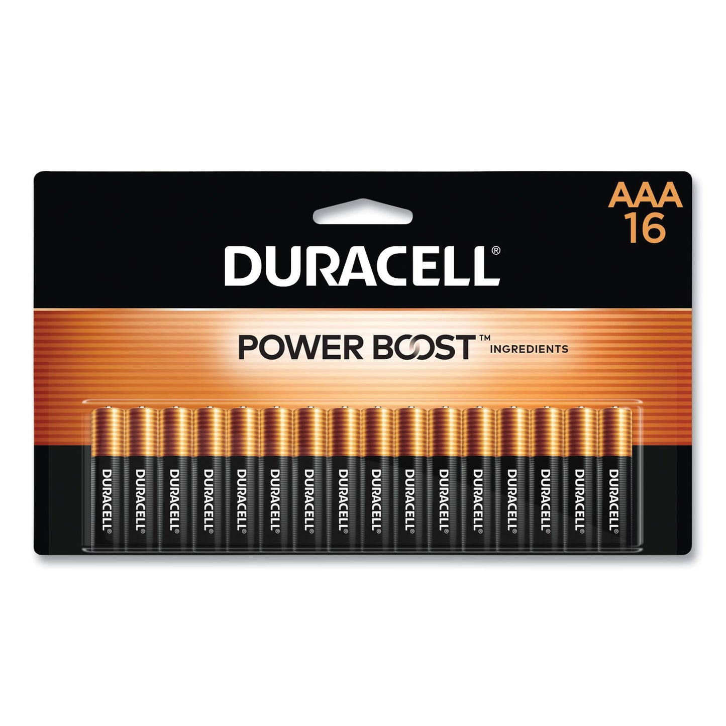 Duracell Power Boost CopperTop Alkaline AAA Batteries, 16/Pack (MN2400B16Z)