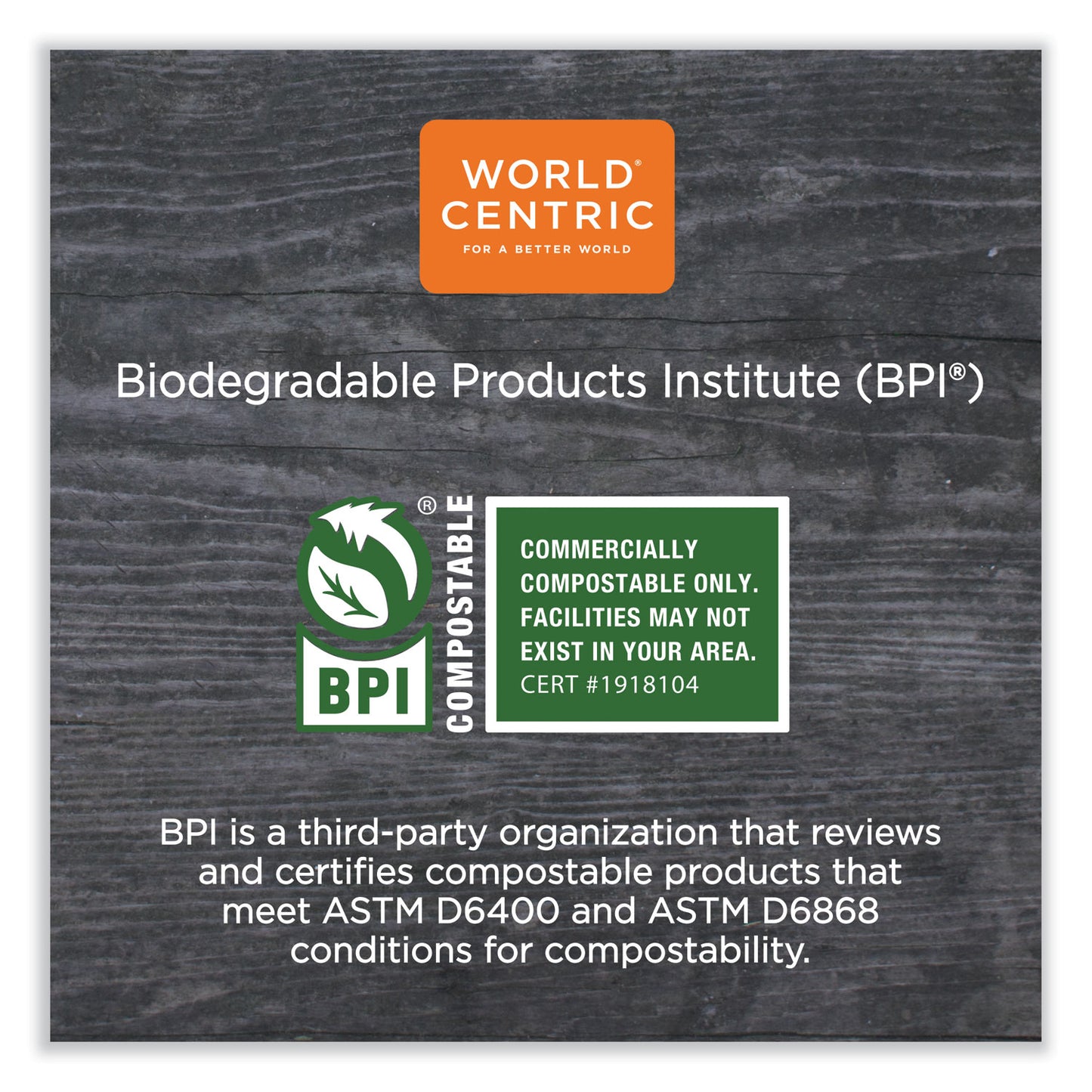 World Centric PLA Hinged Clamshells, 23 oz, 4.9 x 9 x 3.5, Clear, Plastic, 200/Carton (KLCS95N)