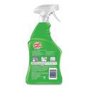 SPRAY n WASH Stain Remover, 22 oz Spray Bottle (00230EA)