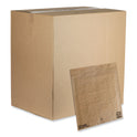 Pregis EverTec Curbside Recyclable Padded Mailer, #5, Kraft Paper, Self-Adhesive Closure, 12 x 15, Brown, 100/Carton (4083816)