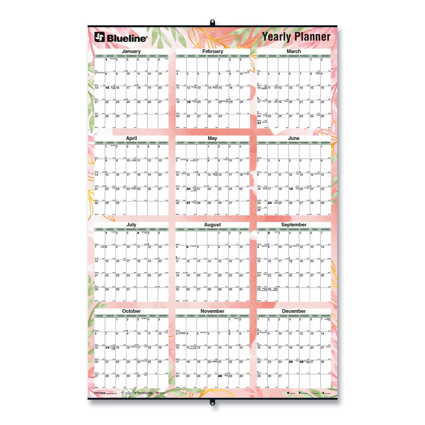 Blueline Yearly Laminated Wall Calendar, Tropical Watercolor Artwork, 36 x 24, White/Sand/Orange Sheets, 12-Month (Jan-Dec): 2025 (C171920)