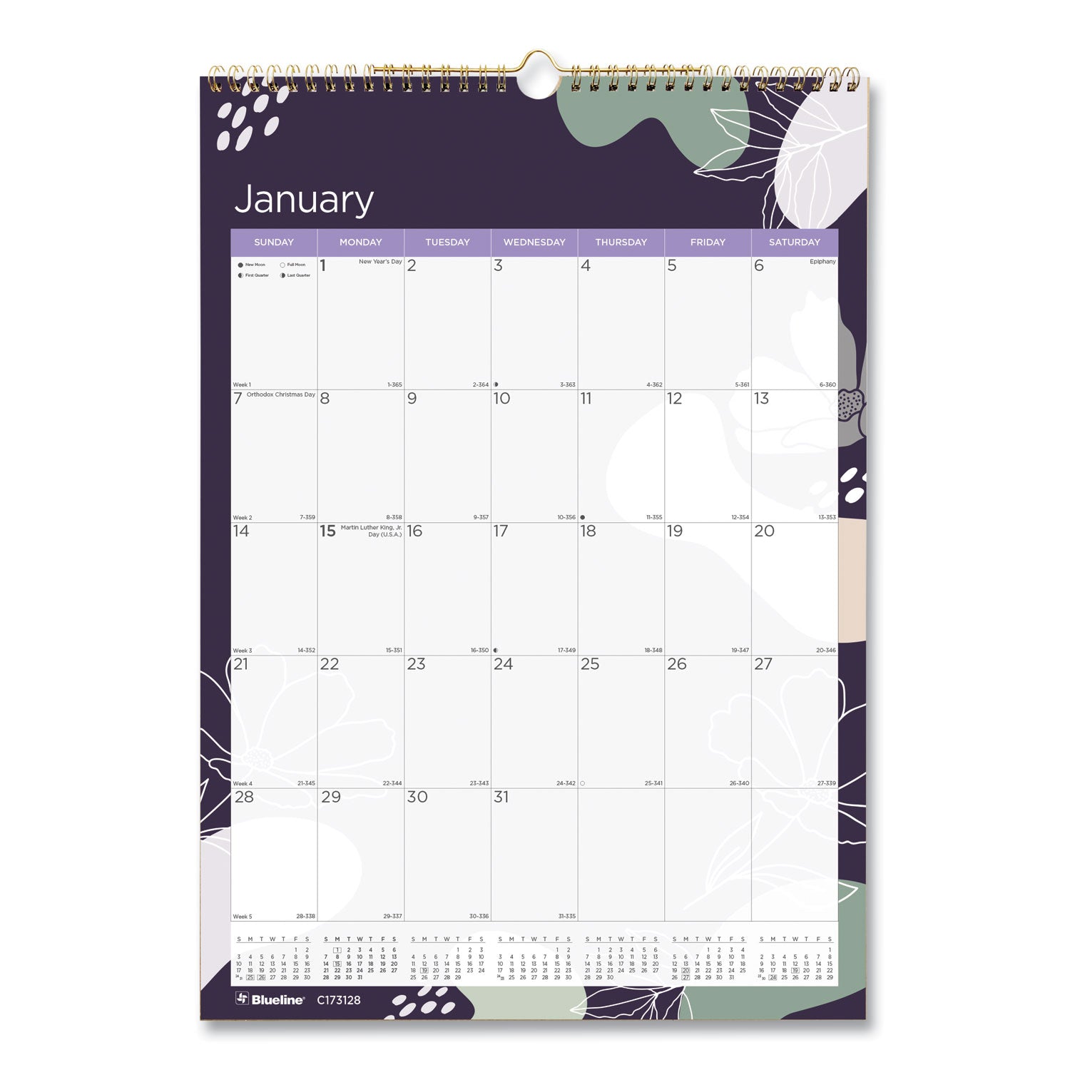 Blueline 12-Month Colorful Wall Calendar, Floral Artwork, 12 x 17, White Sheets, 12-Month (Jan to Dec): 2025 (C173128)