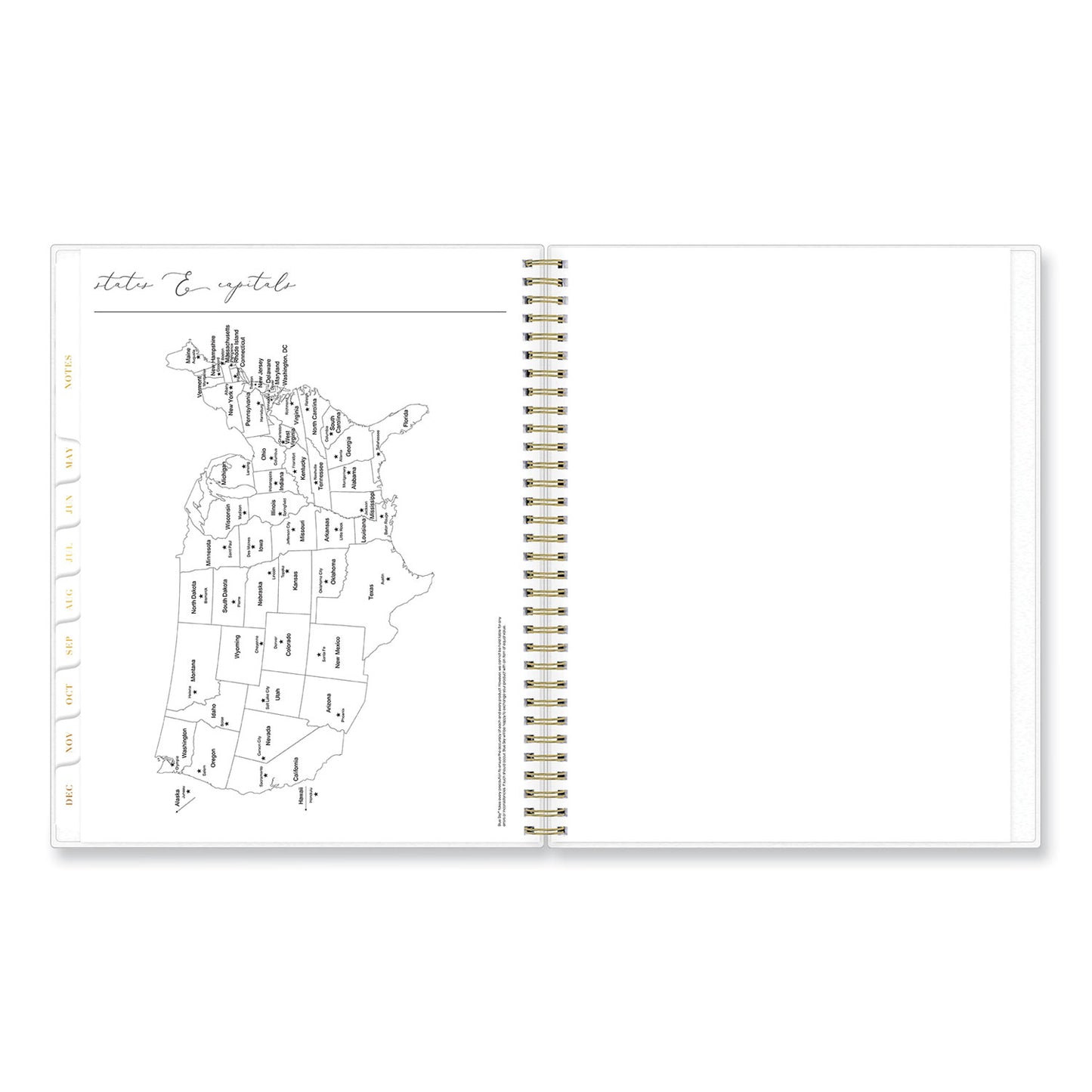 Blue Sky Life Note-It Leah Weekly/Monthly Notes Planner, Floral Artwork, 11 x 8.5, Gray/Pink/White Cover, 12-Month (Jan to Dec): 2025 (139479)