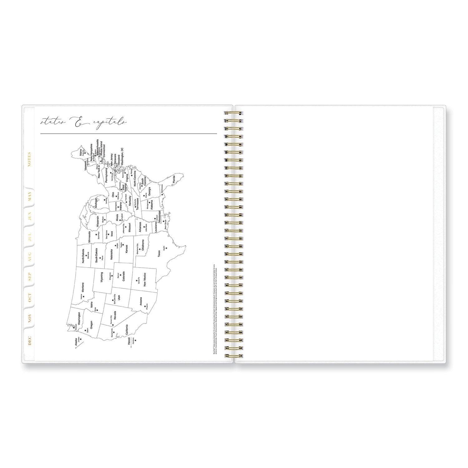 Blue Sky Life Note-It Leah Weekly/Monthly Notes Planner, Floral Artwork, 11 x 8.5, Gray/Pink/White Cover, 12-Month (Jan to Dec): 2025 (139479)