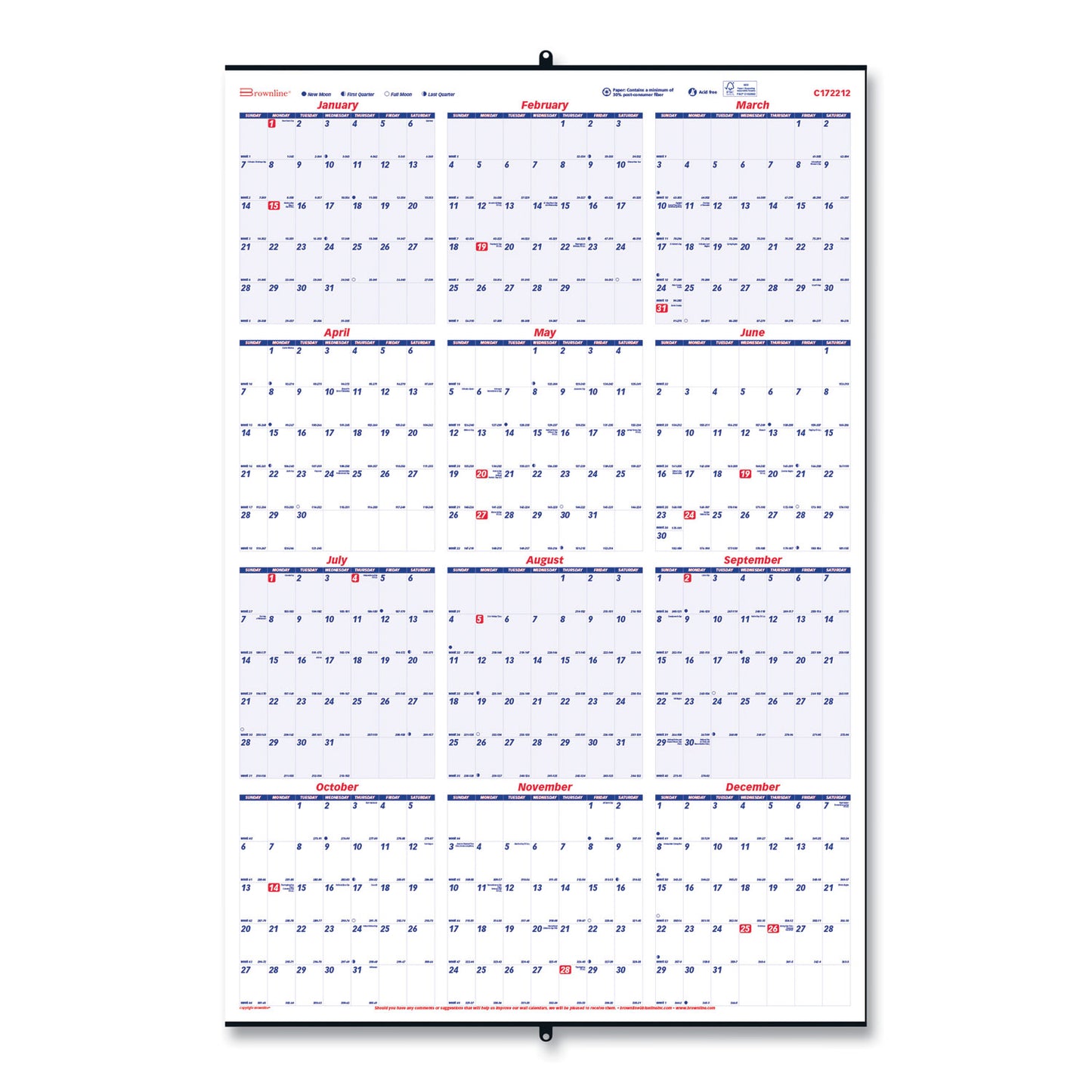 Brownline Yearly Wall Calendar, 24 x 36, White/Blue Sheets, 12-Month (Jan to Dec): 2025 (C172212)