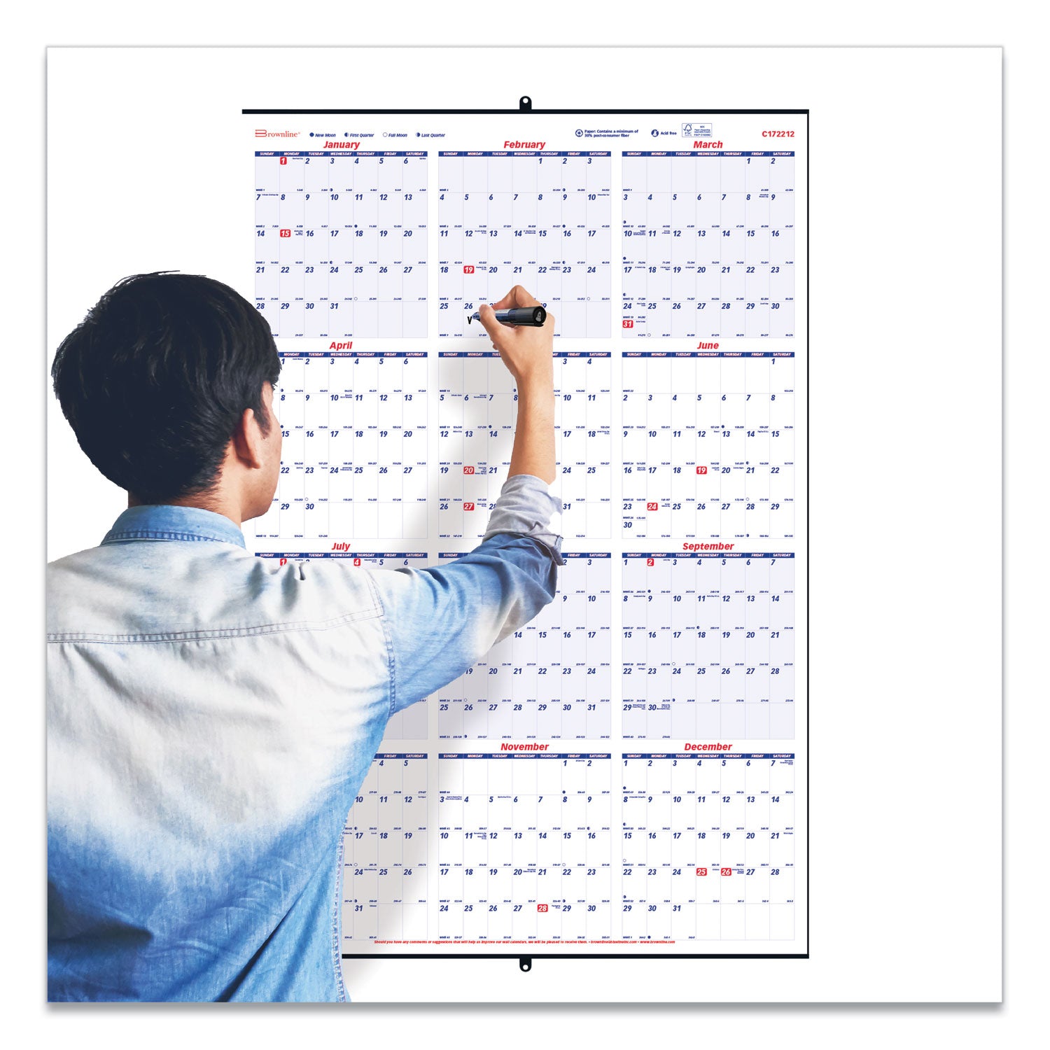 Brownline Yearly Wall Calendar, 24 x 36, White/Blue Sheets, 12-Month (Jan to Dec): 2025 (C172212)