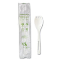 World Centric TPLA Compostable Cutlery, Spork, White, 750/Carton (RKPSI)