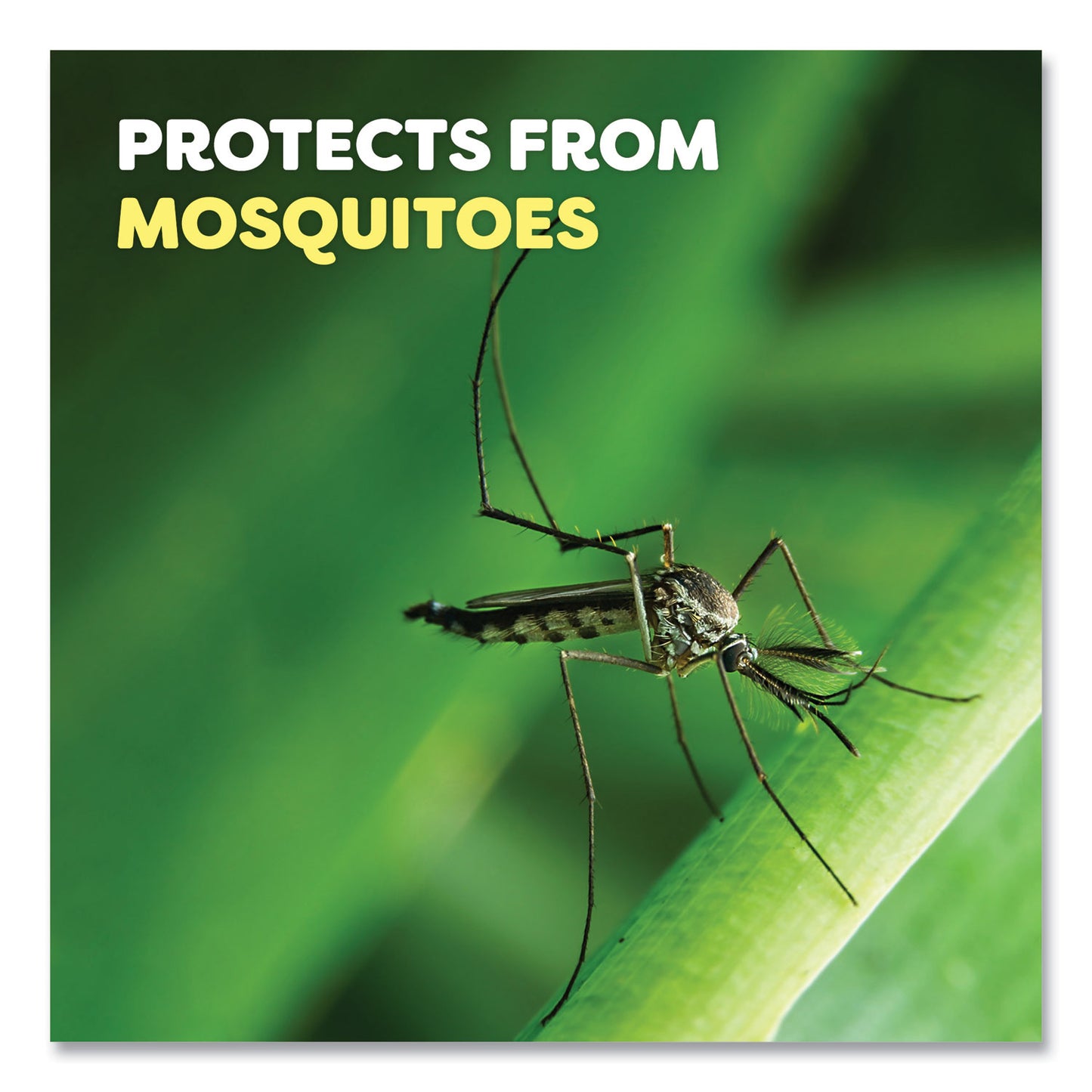 OFF! Deep Woods Dry Insect Repellent, 4 oz Aerosol Spray, Neutral, 12/Carton (315652)