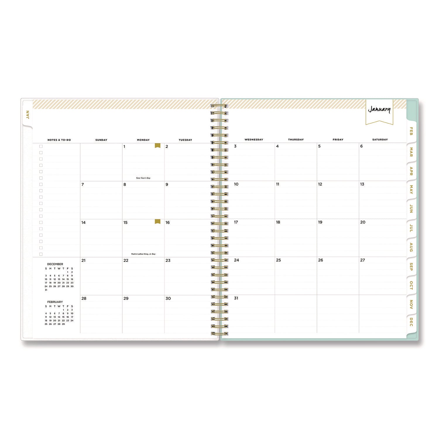 Blue Sky Day Designer Secret Garden Mint Frosted Weekly/Monthly Planner, Floral Artwork, 11 x 8.5, 12-Month (Jan to Dec): 2025 (140101)