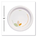 SOLO Bare Eco-Forward Paper Dinnerware Perfect Pak, ProPlanet Seal, Plate, 6" dia, Green/Tan, 125/Pack, 4 Packs/Carton (OFMP6J7234)