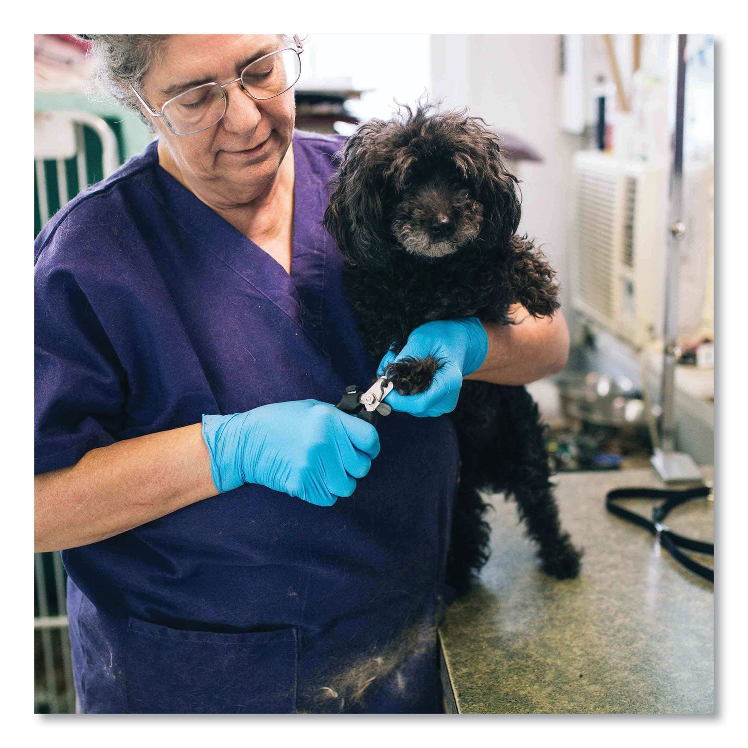 AMMEX Professional Nitrile Exam Gloves, Powder-Free, 3 mil, X-Large, Light Blue, 100/Box, 10 Boxes/Carton (APFN48100CT)