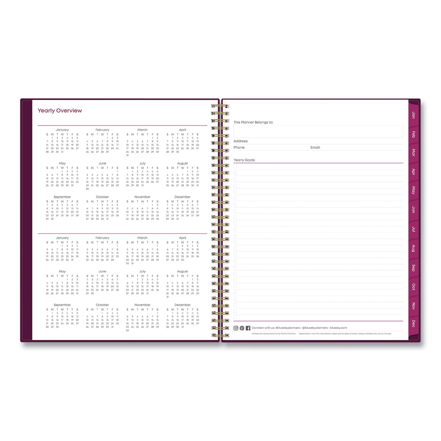 Blue Sky Gili Weekly/Monthly Planner, Jewel Tone Artwork, 11 x 8.5, Plum Cover, 12-Month (Jan to Dec): 2025 (117889)