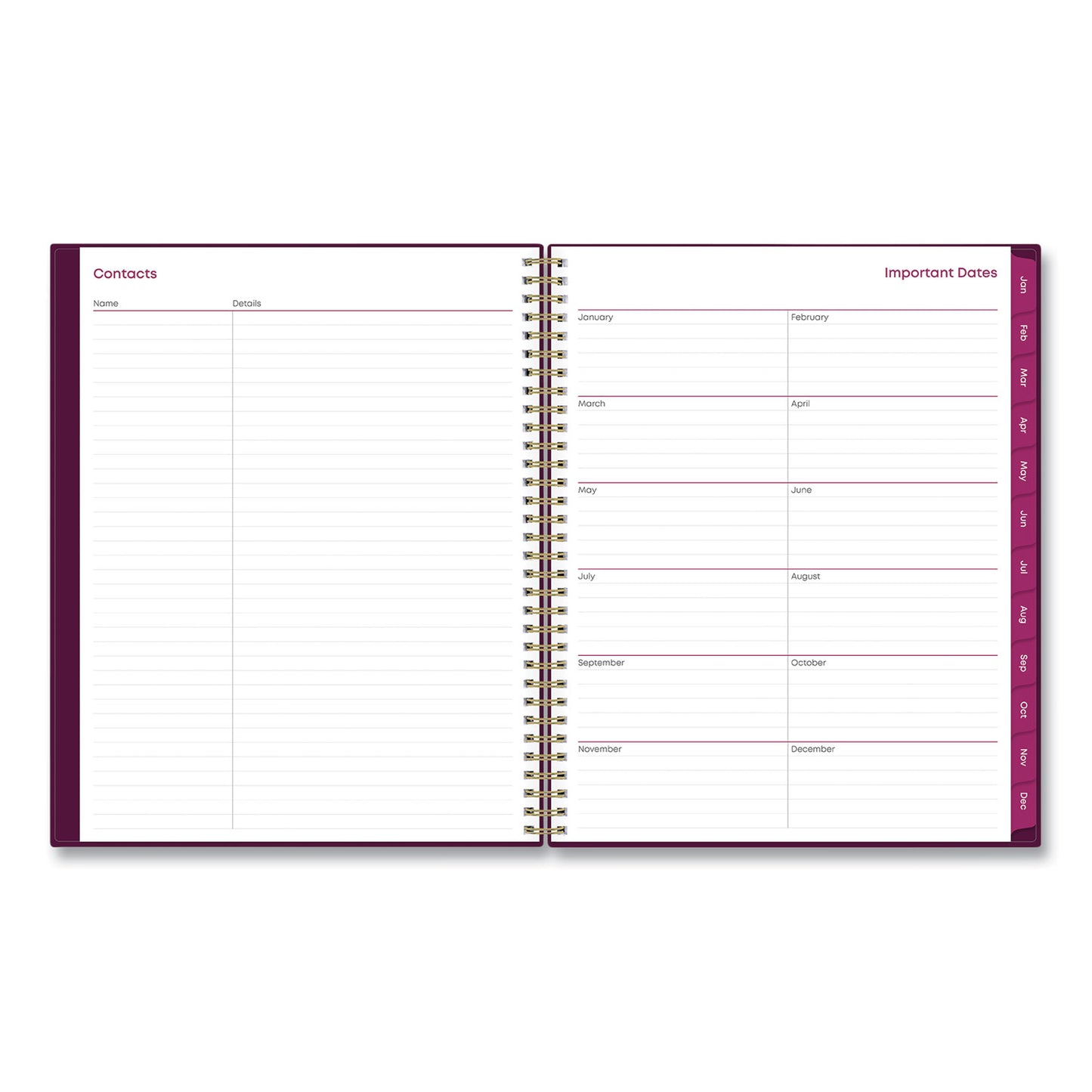 Blue Sky Gili Weekly/Monthly Planner, Jewel Tone Artwork, 11 x 8.5, Plum Cover, 12-Month (Jan to Dec): 2025 (117889)