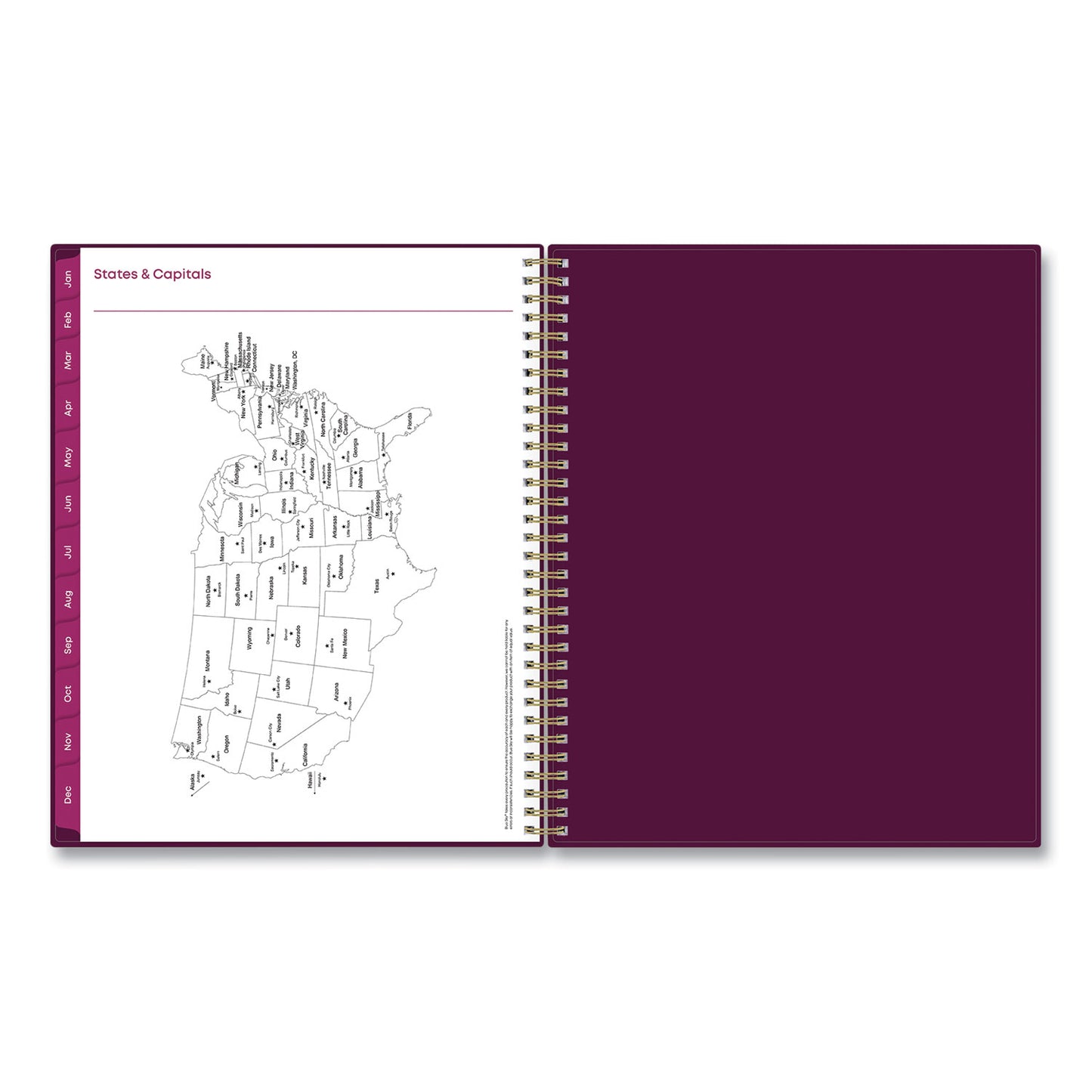 Blue Sky Gili Weekly/Monthly Planner, Jewel Tone Artwork, 11 x 8.5, Plum Cover, 12-Month (Jan to Dec): 2025 (117889)