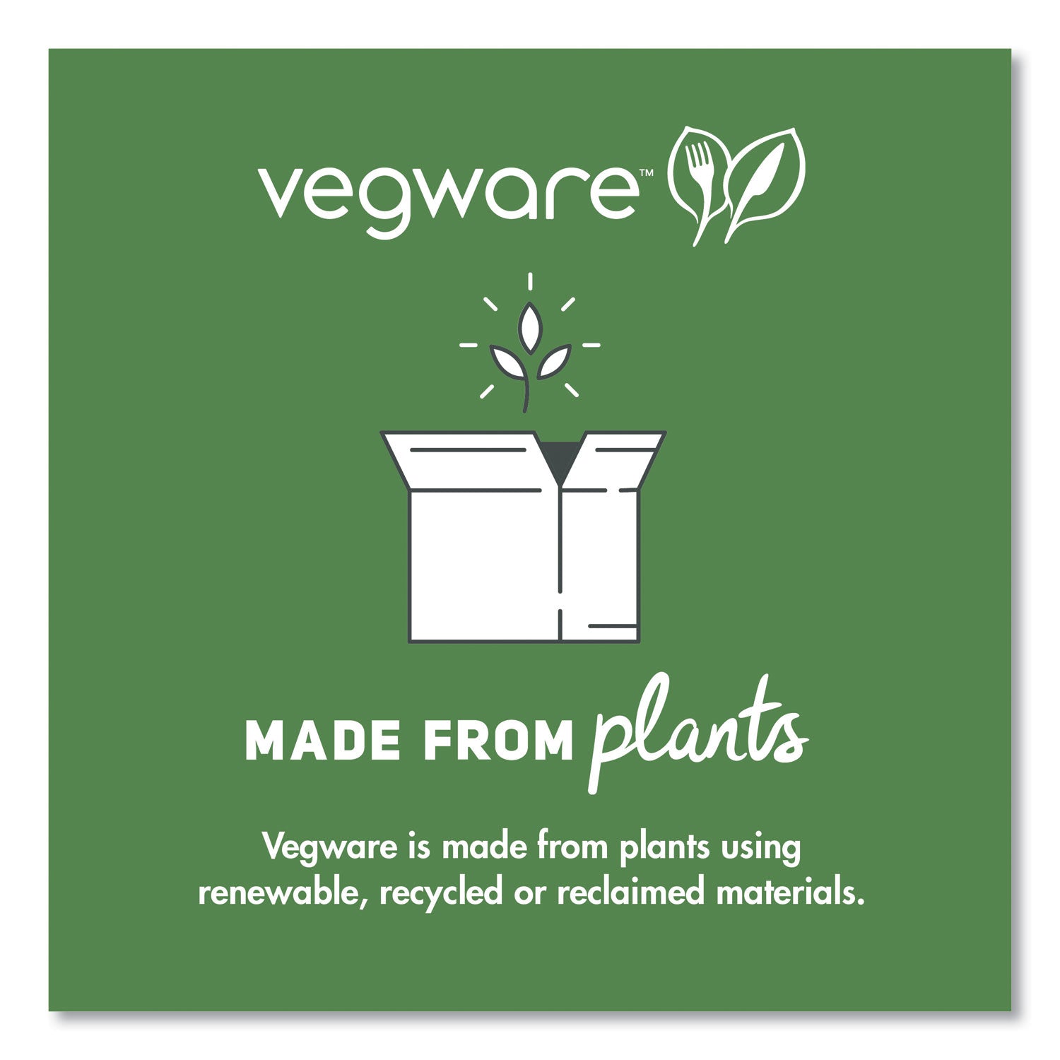 Vegware White CPLA Cutlery, Compostable, Spoon, 1,000/Carton (VWSP65)