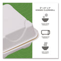Eco-Products GreenStripe Cold Cup Flat Lids, Fits 9 oz to 24 oz Cups, Clear, 100/Pack, 10 Packs/Carton (EPFLCC)