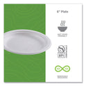 Eco-Products Renewable Sugarcane Plates, 6" dia, Natural White, 1,000/Carton (EPP016CT)