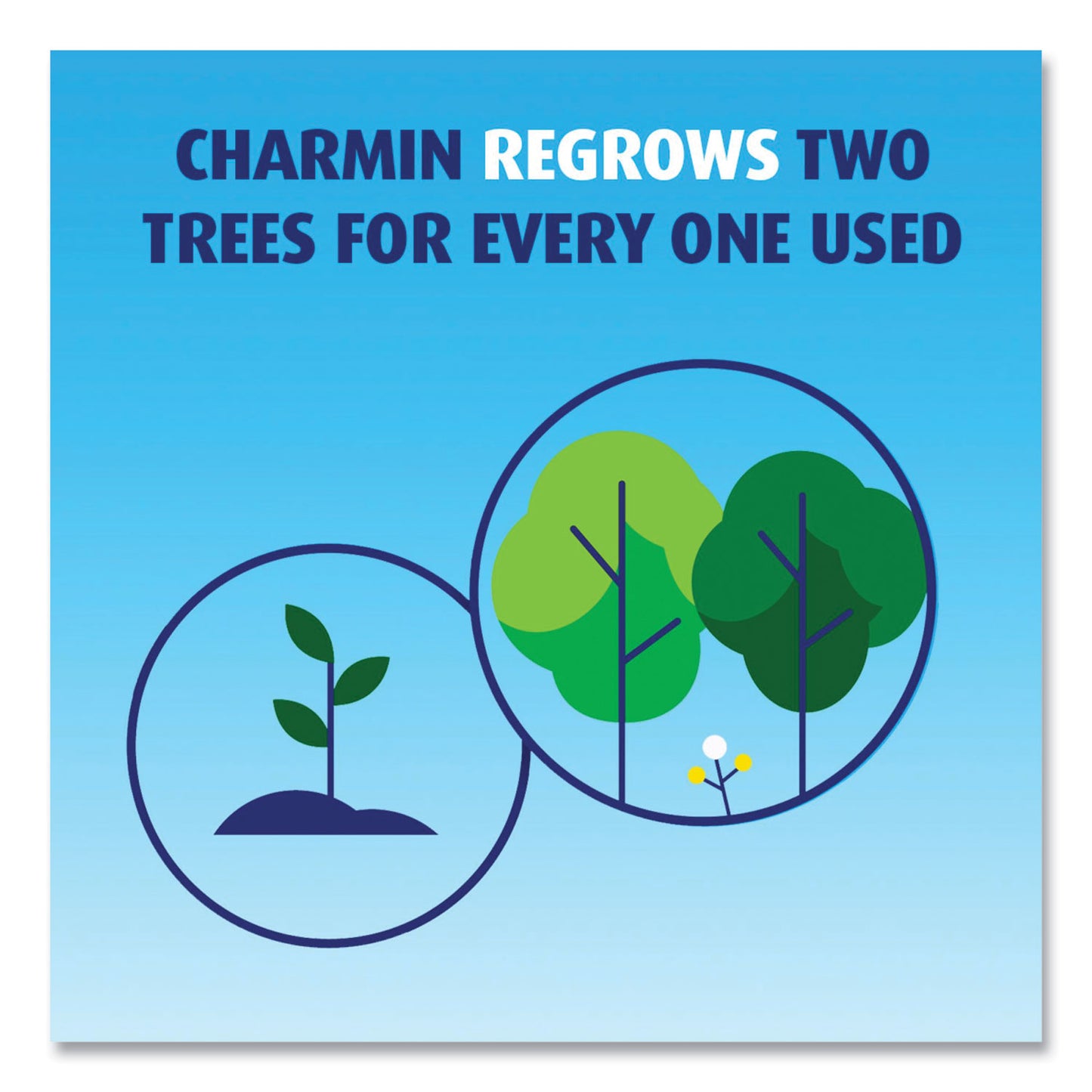 Charmin Ultra Soft Bathroom Tissue, Septic Safe, 2-Ply, White, 224 Sheets/Roll, 4 Rolls/Pack (08806PK)