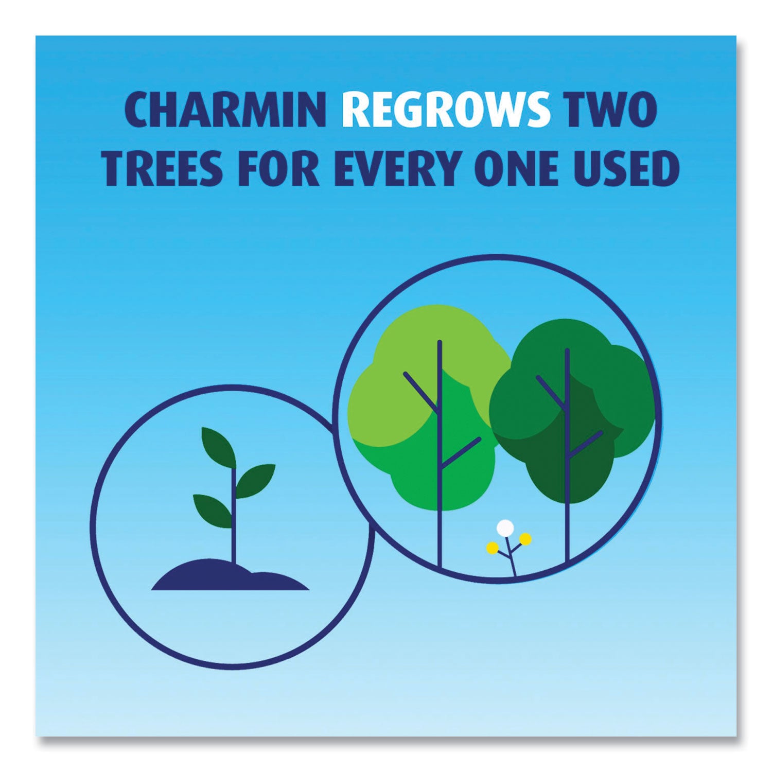 Charmin Ultra Soft Bathroom Tissue, Septic Safe, 2-Ply, White, 224 Sheets/Roll, 4 Rolls/Pack (08806PK)