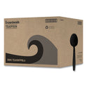 Boardwalk Heavyweight Polypropylene Cutlery, Teaspoon, Black, 1000/Carton (TEAHWPPBLA)