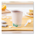 SOLO Compostable Paper Hot Cups, ProPlanet Seal, 12 oz, White/Green, 50/Pack (412PLAPLATPK)
