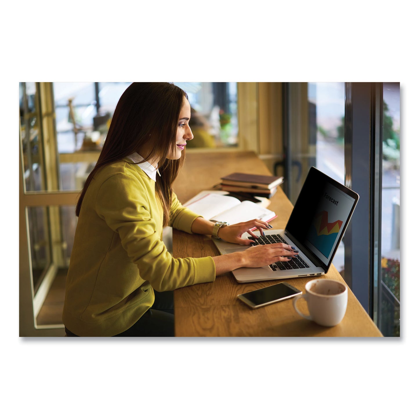 3M Bright Screen Privacy Filter for 15:6" Full Screen Widescreen, Fits Laptop/2-in-1, 16:9 Aspect Ratio (BP156W9E)