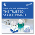 Surpass Facial Tissue for Business, 2-Ply, White, Flat Box, 100 Sheets/Box, 30 Boxes/Carton (21340)